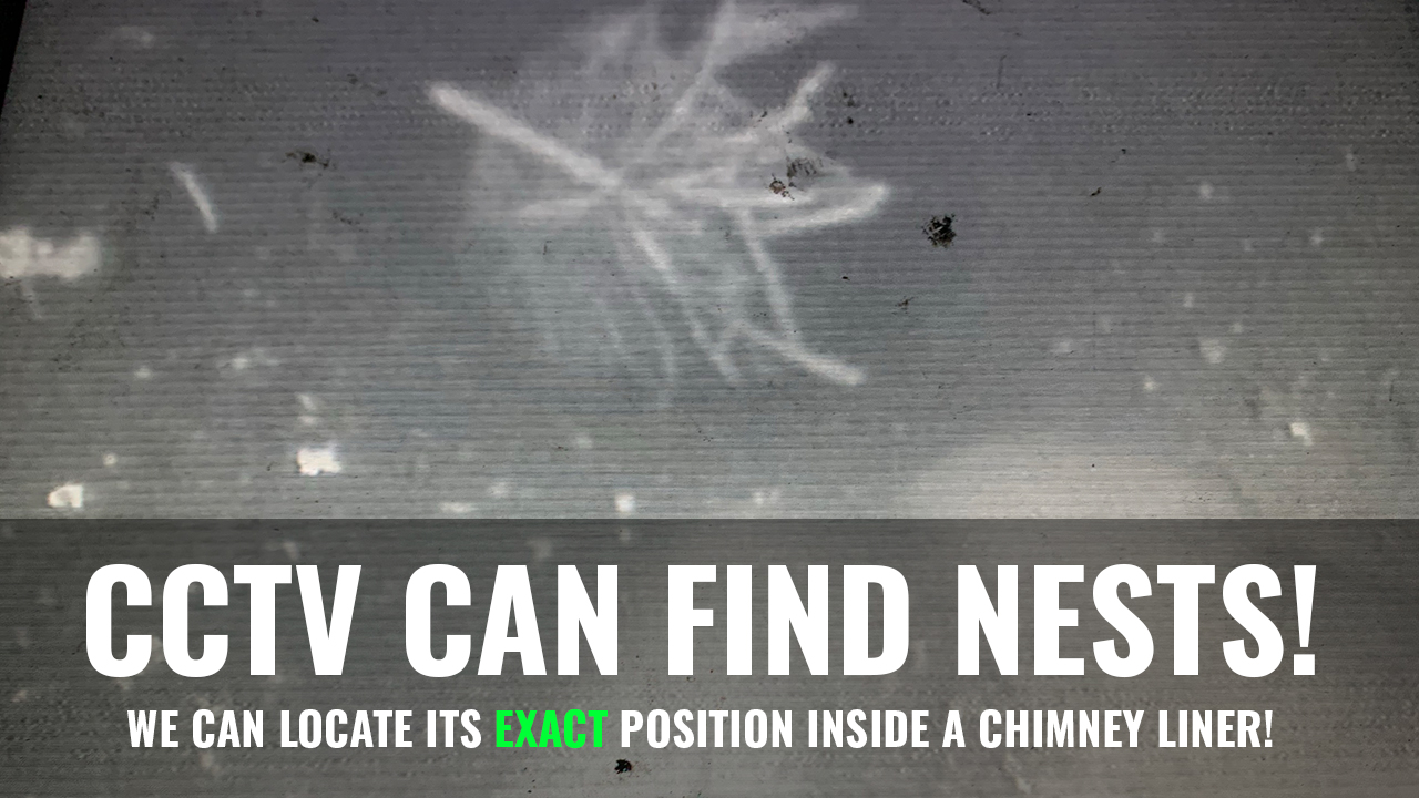 Kielder Chimney Sweeps work example 5